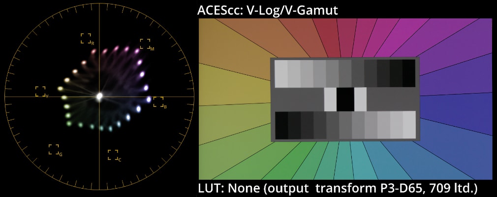 Resolve decode using ACES