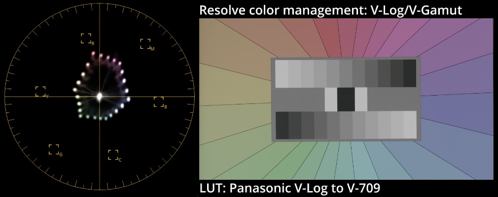 Resolve decode with Panasonic LUTs