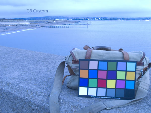../Spy/GB-Custom.jpg